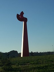 030.JPG