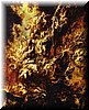 rubens106.jpg