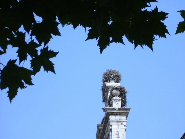 dscn0386.sized.jpg