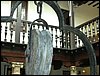 dscn0426.sized.jpg