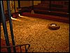 Patio del Corral de Comedias. 
