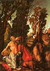 cran1-18.jpg
