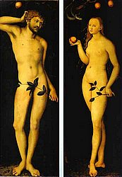 cranach66.jpg
