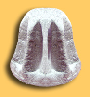 El pandoro