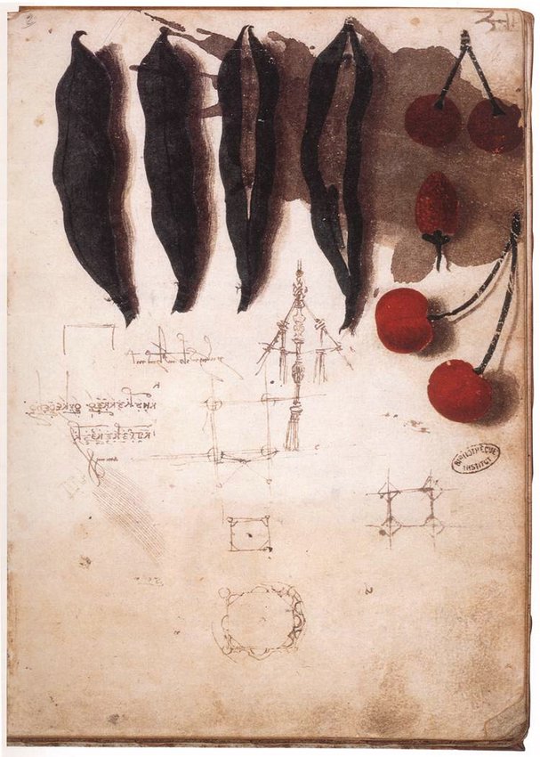 08fruit.jpg