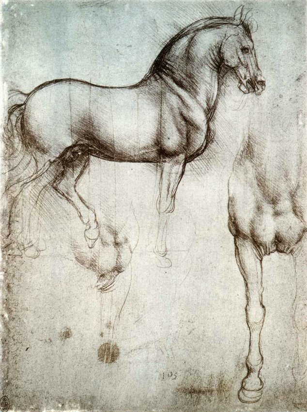 11horse1.jpg