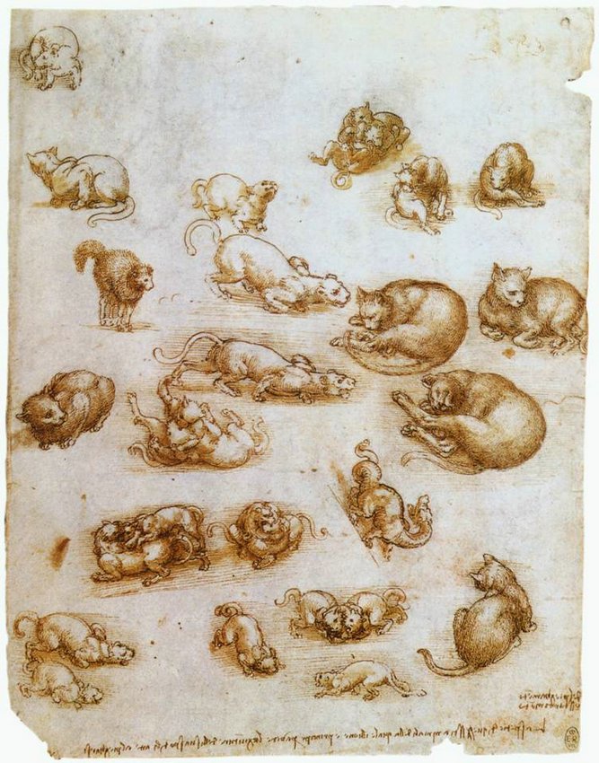13animal.jpg