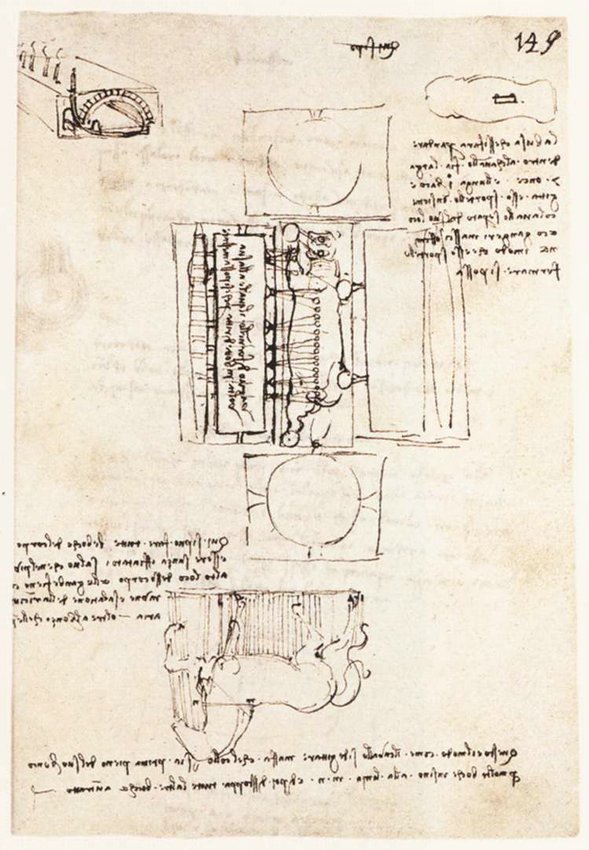 2sforza1.jpg