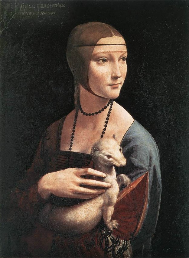 4ermine.jpg