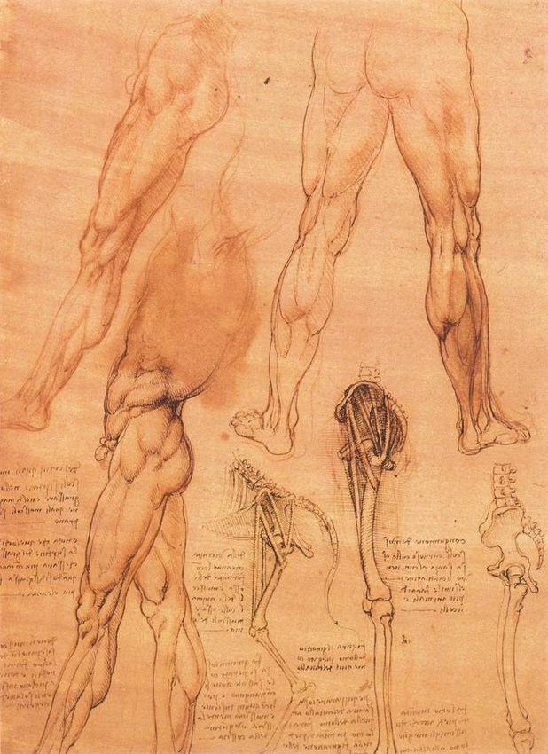 7legs2.jpg