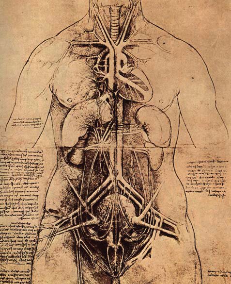 8torso1.jpg