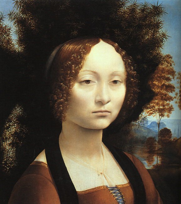 vinci12.jpg