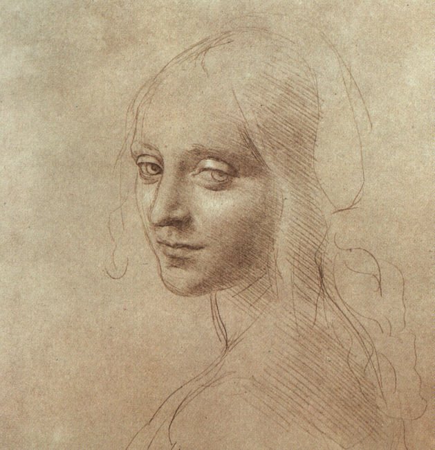 vinci15.jpg