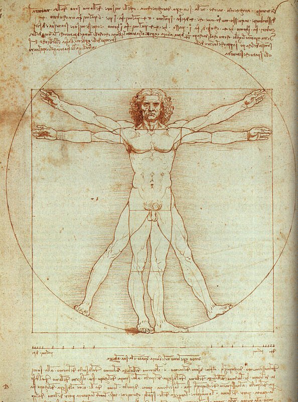 vinci23.jpg