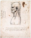 03profil.jpg