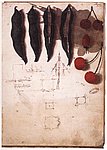 08fruit.jpg