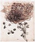 09plants.jpg