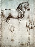 11horse1.jpg