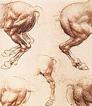 11horse2.jpg