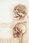 2head3.jpg