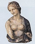 5flora.jpg
