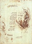 6organ.jpg