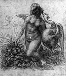 7leda0.jpg