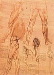 7legs2.jpg