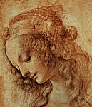 vinci13.jpg