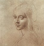 vinci15.jpg