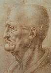 vinci16.jpg