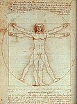 vinci23.jpg