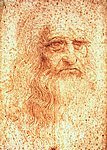 vinci8.jpg