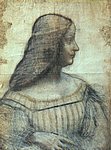 vinci9.jpg