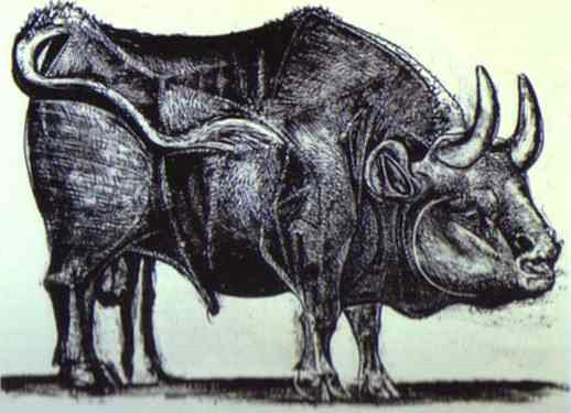 picasso48.jpg