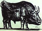 picasso47.jpg