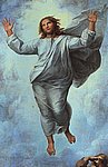 raphae50.jpg
