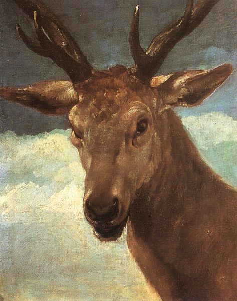 Cabeza de venado, Madrid, Museo del Prado