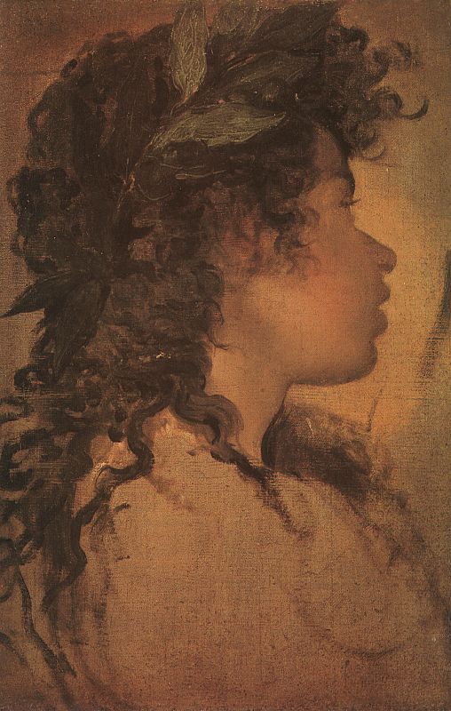 Cabeza de Apolo, 1630, Nueva York, coleccin particular