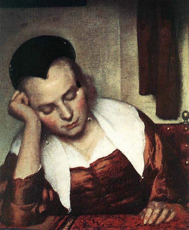 vermeer5a_sleep1.jpg